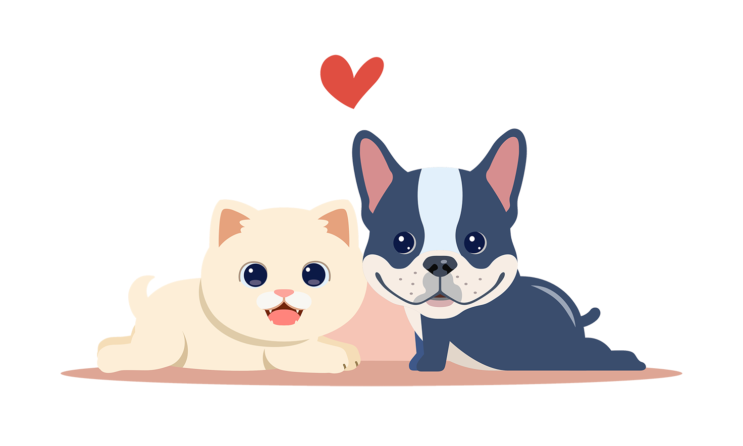 Illustrazione di un gatto e un cane accucciati vicini